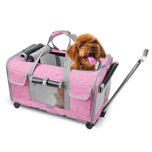 ALLSOPETS Große Haustier Tragetasche mit Rädern Rollender Katzen- und Hundeträger mit Teleskopgriff Tragbare Reisetasche für 2 kleine Hunde Mehrere Kätzchen oder Mittelgroße Hunde Rosa ALLSOPETS Große Haustier Tragetasche mit Rädern Rollender Katzen- und Hundeträger mit Teleskopgriff Tragbare Reisetasche für 2 kleine Hunde Mehrere Kätzchen oder Mittelgroße Hunde Rosa von ALLSOPETS