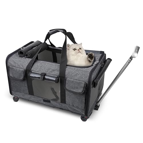 ALLSOPETS Große Haustier Tragetasche mit Rädern Rollender Katzen- und Hundeträger mit Teleskopgriff Tragbare Reisetasche für 2 kleine Hunde Mehrere Kätzchen oder Mittelgroße Hunde Schwarz ALLSOPETS Große Haustier Tragetasche mit Rädern Rollender Katzen- und Hundeträger mit Teleskopgriff Tragbare Reisetasche für 2 kleine Hunde Mehrere Kätzchen oder Mittelgroße Hunde Schwarz von ALLSOPETS