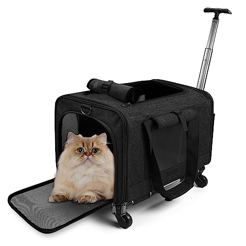 ALLSOPETS Haustierträger mit Rädern für Katzen und Hunde Luftfahrt Zugelassen mit Ausziehbarem Griff Abnehmbaren Rädern und Schultergurt Tragbare Tasche für kleine Tiere Dunkelgrau ALLSOPETS Haustierträger mit Rädern für Katzen und Hunde Luftfahrt Zugelassen mit Ausziehbarem Griff Abnehmbaren Rädern und Schultergurt Tragbare Tasche für kleine Tiere Dunkelgrau von ALLSOPETS