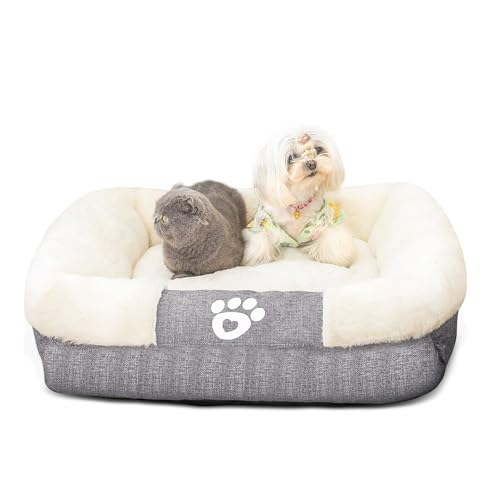 ALLSOPETS Hundebett für Große Hunde Plüsch-Haustierbett mit Erhöhten Seiten rutschfeste Unterseite Warmes und Gemütliches Bett für den Winter Ideal für Kleine bis Große Hunde Katzen (Grau, XXL) ALLSOPETS Hundebett für Große Hunde Plüsch-Haustierbett mit Erhöhten Seiten rutschfeste Unterseite Warmes und Gemütliches Bett für den Winter Ideal für Kleine bis Große Hunde Katzen (Grau, XXL) von ALLSOPETS