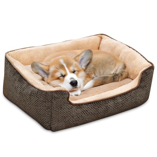 ALLSOPETS Hundebett für Große Hunde Plüsch-Haustierbett mit Erhöhten Seiten rutschfeste Unterseite Warmes und Gemütliches Katzenbett für den Winter Ideal für Kleine bis Große Hunde (Braun, XXL) ALLSOPETS Hundebett für Große Hunde Plüsch-Haustierbett mit Erhöhten Seiten rutschfeste Unterseite Warmes und Gemütliches Katzenbett für den Winter Ideal für Kleine bis Große Hunde (Braun, XXL) von ALLSOPETS