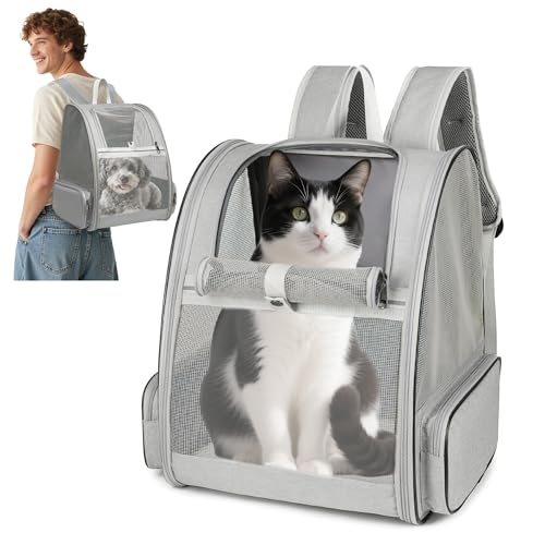 ALLSOPETS Hunderucksack Atmungsaktiver Haustier Rucksack für Kleine Katzen Hunde Welpen Faltbarer Katzenrucksack mit Sicherheitsgurten Ideal für Reisen Wandern Outdoor (Hellgrau) von ALLSOPETS