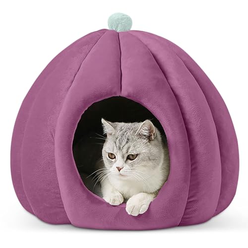 ALLSOPETS Katzenhöhlenbett Katzenhundebetten für den Innenbereich Katzennest Höhlenzelt mit Abnehmbarem und Waschbarem Kissen Weiches Haustierhöhlenbett Haus für kleine Hunde Katzen Welpe Lila ALLSOPETS Katzenhöhlenbett Katzenhundebetten für den Innenbereich Katzennest Höhlenzelt mit Abnehmbarem und Waschbarem Kissen Weiches Haustierhöhlenbett Haus für kleine Hunde Katzen Welpe Lila von ALLSOPETS