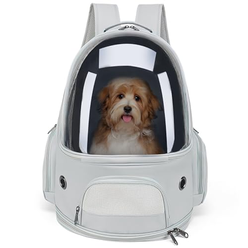 ALLSOPETS Katzenrucksack Träger Hunderucksack Belüfteter und Zusammenklappbarer Haustierträger für Katzen Hunde bis zu 7.5KG Tragbarer Reise-Rucksack mit Innerem Sicherheitsgurt (Grau) ALLSOPETS Katzenrucksack Träger Hunderucksack Belüfteter und Zusammenklappbarer Haustierträger für Katzen Hunde bis zu 7.5KG Tragbarer Reise-Rucksack mit Innerem Sicherheitsgurt (Grau) von ALLSOPETS