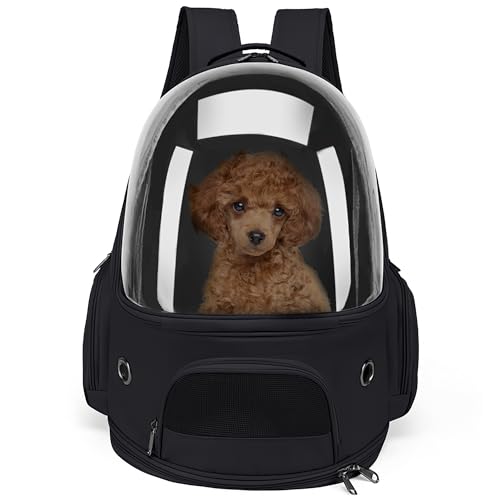ALLSOPETS Katzenrucksack Träger Hunderucksack Belüfteter und Zusammenklappbarer Haustierträger für Katzen Hunde bis zu 7.5KG Tragbarer Reise-Rucksack mit Innerem Sicherheitsgurt (Schwarz) ALLSOPETS Katzenrucksack Träger Hunderucksack Belüfteter und Zusammenklappbarer Haustierträger für Katzen Hunde bis zu 7.5KG Tragbarer Reise-Rucksack mit Innerem Sicherheitsgurt (Schwarz) von ALLSOPETS