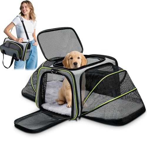 ALLSOPETS Erweiterbare Transporttasche für Katzen und kleine Hunde, Faltbare Weiche Haustiertasche mit 2 Seiten-Erweiterungen, Herausnehmbarem Fleece-Kissen und Taschen (Grau & Grün) ALLSOPETS Erweiterbare Transporttasche für Katzen und kleine Hunde, Faltbare Weiche Haustiertasche mit 2 Seiten-Erweiterungen, Herausnehmbarem Fleece-Kissen und Taschen (Grau & Grün) von ALLSOPETS