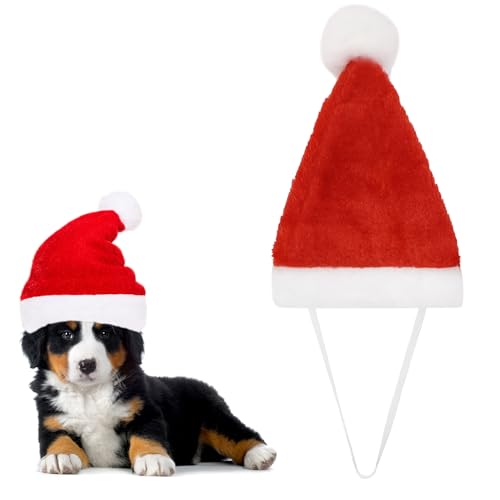ALLY-MAGIC Weihnachten Hund Katze Weihnachtsmann Hut Weihnachten Haustier Kostüm Hund Weihnachten Outfit Weihnachten Kostüm Set für Kleine Hunde Geschenk Y6CWSDMby von ALLY-MAGIC