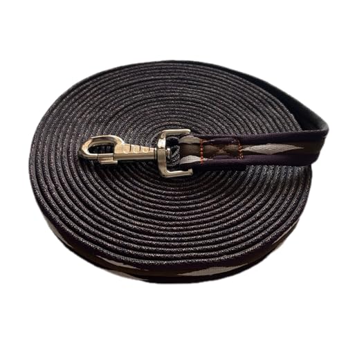 ALLZSMOOTHLY Premium Pferdetrainingsleine mit Trigger-Schnalle aus Legierung für präzises Reittraining von 8 Metern ALLZSMOOTHLY Premium Pferdetrainingsleine mit Trigger-Schnalle aus Legierung für präzises Reittraining von 8 Metern von ALLZSMOOTHLY