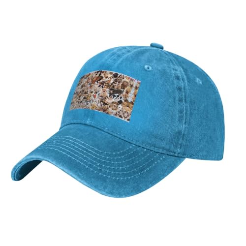 Baseballkappe für Hunde und Erwachsene, aus gewaschenem Denim, für Väter, Laufen, Training, Alltag Baseballkappe für Hunde und Erwachsene, aus gewaschenem Denim, für Väter, Laufen, Training, Alltag von ALLiYa