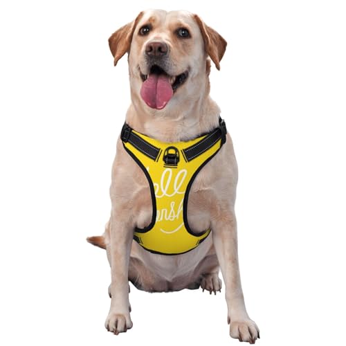 Goodlooking Hello Sunshine Haustier-Traktionsweste, Brustgurt, Geschirr, Outdoor, Spaziergang mit dem Hund Goodlooking Hello Sunshine Haustier-Traktionsweste, Brustgurt, Geschirr, Outdoor, Spaziergang mit dem Hund von ALLiYa