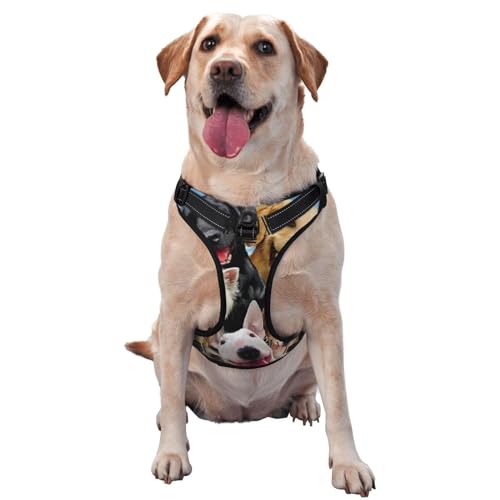 Niedliche Traktionsweste für Haustiere, Brustgurt, Geschirr, Outdoor, Spaziergang mit dem Hund Niedliche Traktionsweste für Haustiere, Brustgurt, Geschirr, Outdoor, Spaziergang mit dem Hund von ALLiYa