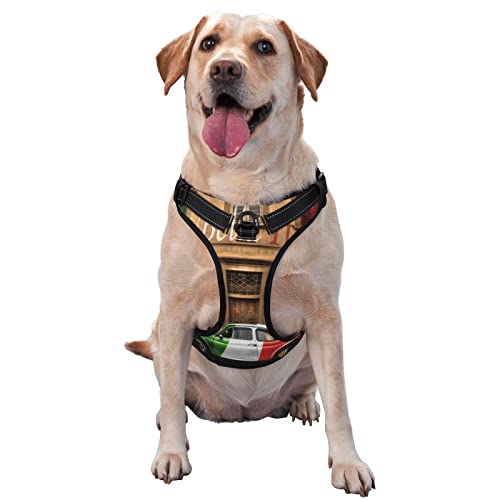 Schöne italienische Haustier-Traktionsweste, Brustgurt, Geschirr, Outdoor-Hundespaziergang Schöne italienische Haustier-Traktionsweste, Brustgurt, Geschirr, Outdoor-Hundespaziergang von ALLiYa