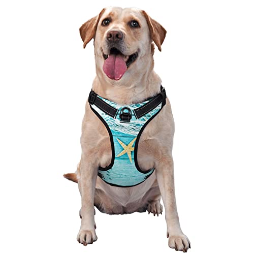 Seestern-Fischernetze, Haustier-Traktionsweste, Brustgurt, Geschirr, Outdoor-Hundespaziergang Seestern-Fischernetze, Haustier-Traktionsweste, Brustgurt, Geschirr, Outdoor-Hundespaziergang von ALLiYa