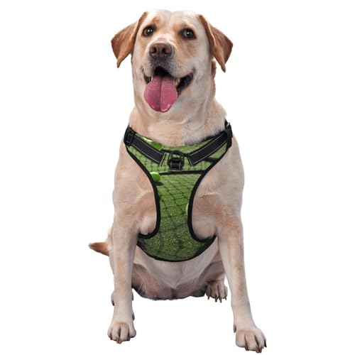 Traktionsweste für Tennisbälle auf Tennisbällen auf Tennisgras, mit Brustgurt, Geschirr für den Außenbereich, mit dem Hund Traktionsweste für Tennisbälle auf Tennisbällen auf Tennisgras, mit Brustgurt, Geschirr für den Außenbereich, mit dem Hund von ALLiYa