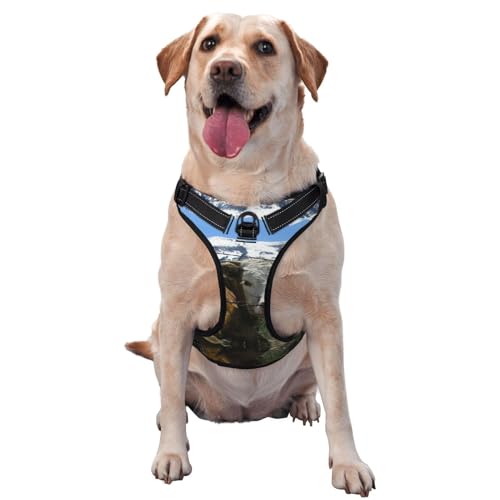 Traktionsweste mit Bauernhoftier/Kuh, Haustier, Traktionsweste, Brustgurt, Weste, Geschirr, Outdoor, Spaziergang mit dem Hund Traktionsweste mit Bauernhoftier/Kuh, Haustier, Traktionsweste, Brustgurt, Weste, Geschirr, Outdoor, Spaziergang mit dem Hund von ALLiYa