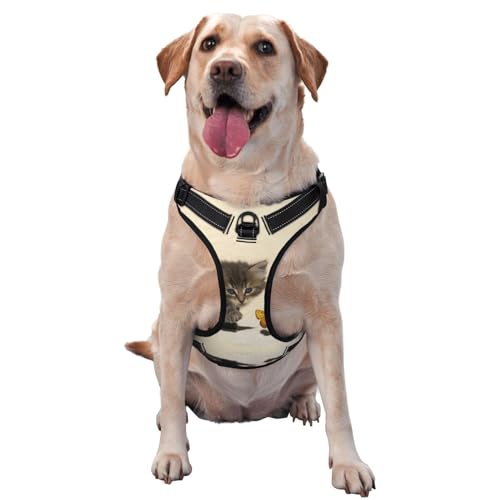 Traktionsweste mit Katze und Schmetterlingen für Haustiere, Brustgurt, Geschirr, Outdoor, Spaziergang mit dem Hund Traktionsweste mit Katze und Schmetterlingen für Haustiere, Brustgurt, Geschirr, Outdoor, Spaziergang mit dem Hund von ALLiYa