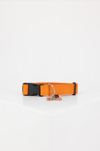 Alpha Industries Basic Dog-Tag Collar stylisches Hunde-Halsband Alpha Orange von ALPHA INDUSTRIES