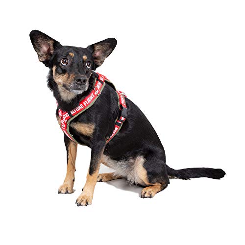 Alpha Industries Dog RBF Harness, Dark Olive, L Alpha Industries Dog RBF Harness, Dark Olive, L von ALPHA INDUSTRIES