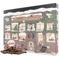 ALPHAZOO Adventskalender 2025 für Katzen ALPHAZOO Adventskalender 2025 für Katzen von ALPHAZOO