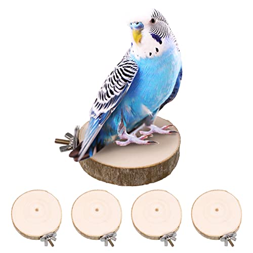 ALTcompluser 4 Stück Vogelstangenständer Plattform Spielzeug Papageien Käfig Spielzeug Rund Holz Springbrett für Wellensittiche, Nymphensittiche, Finken, kleine Sittiche, Vogelspielzeug ALTcompluser 4 Stück Vogelstangenständer Plattform Spielzeug Papageien Käfig Spielzeug Rund Holz Springbrett für Wellensittiche, Nymphensittiche, Finken, kleine Sittiche, Vogelspielzeug von ALTcompluser