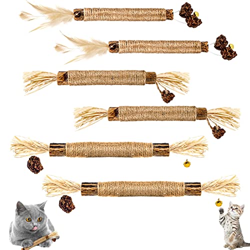 ALTcompluser 6 Stück Katzenminze Sticks, Kausticks für Katzen, Katzen Zahnpflege Spielzeug, Dental Kau-Sticks helfen bei Zahnstein & Mundgeruch Gesund Hygiene Zahnpflege ALTcompluser 6 Stück Katzenminze Sticks, Kausticks für Katzen, Katzen Zahnpflege Spielzeug, Dental Kau-Sticks helfen bei Zahnstein & Mundgeruch Gesund Hygiene Zahnpflege von ALTcompluser