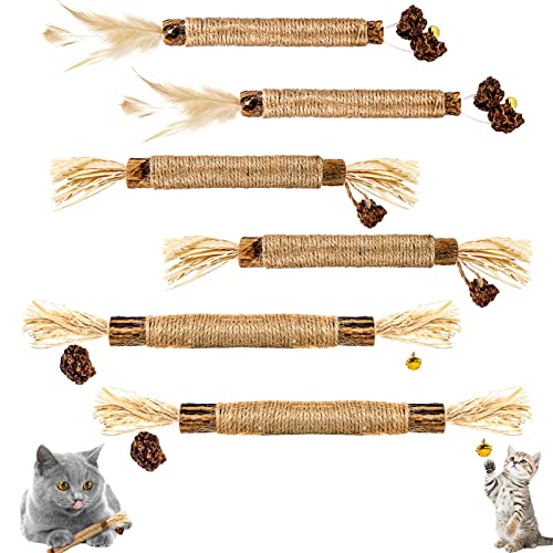 ALTcompluser 6 Stück Katzenminze Sticks, Kausticks für Katzen, Katzen Zahnpflege Spielzeug, Dental Kau-Sticks helfen bei Zahnstein & Mundgeruch Gesund Hygiene Zahnpflege von ALTcompluser