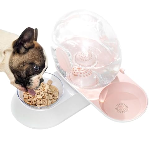ALWIDA Haustier Wasserspender | Katze Feeder Wassernapf Spender - Automatischer Schneckenform Trinkbrunnen, 2 in 1 Haustier Wasser und Futternapf Set, Automatischer Futterspender ALWIDA Haustier Wasserspender | Katze Feeder Wassernapf Spender - Automatischer Schneckenform Trinkbrunnen, 2 in 1 Haustier Wasser und Futternapf Set, Automatischer Futterspender von ALWIDA