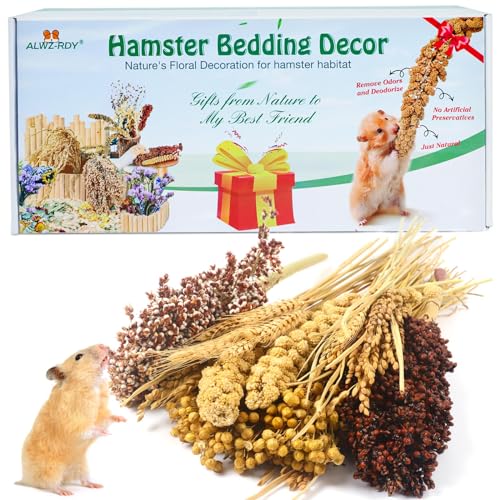ALWZ-RDY Natürliche Hamstereinstreu, Hamster-Kräuter, Blumen für Hamsterkäfig-Gehege, Lebensraum, Dekoration, Hamstersprays für Zwerge, syrische Meerschweinchen, Rennmäuse, Degus oder andere von ALWZ-RDY