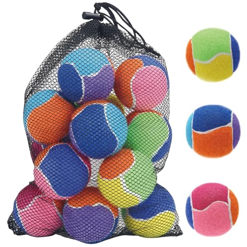 AMA SPORT Quietschbälle für Hunde, 6,3 cm, kleine und mittelgroße Hunde-Tennisbälle zum Werfen und Apportieren, Hundespielzeug für Training, Training, hohe Sprungkraft, 12 Stück, mehrfarbig AMA SPORT Quietschbälle für Hunde, 6,3 cm, kleine und mittelgroße Hunde-Tennisbälle zum Werfen und Apportieren, Hundespielzeug für Training, Training, hohe Sprungkraft, 12 Stück, mehrfarbig von AMA SPORT