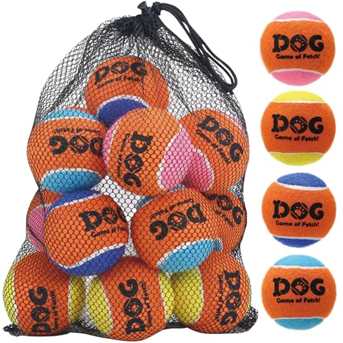 AMA SPORT Quietschende Tennisbälle für Hunde, 6,3 cm, kleine und mittelgroße Hunde, Tennisbälle zum Werfen und Apportieren, Hundespielzeug für Training, Training, hohe Sprungkraft, 12 Stück AMA SPORT Quietschende Tennisbälle für Hunde, 6,3 cm, kleine und mittelgroße Hunde, Tennisbälle zum Werfen und Apportieren, Hundespielzeug für Training, Training, hohe Sprungkraft, 12 Stück von AMA SPORT