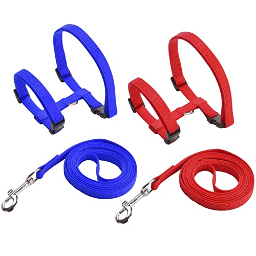 Hasenleine Katzengeschirr Hasengeschirr Verstellbare Kaninchen Geschirr Nylon Kaninchen Leine Elastischer Gehgeschirr Set für Kleintiere Verstellbar Weich Atmungsaktiv Walking Harness Set 2 Stück Hasenleine Katzengeschirr Hasengeschirr Verstellbare Kaninchen Geschirr Nylon Kaninchen Leine Elastischer Gehgeschirr Set für Kleintiere Verstellbar Weich Atmungsaktiv Walking Harness Set 2 Stück von Amacoam
