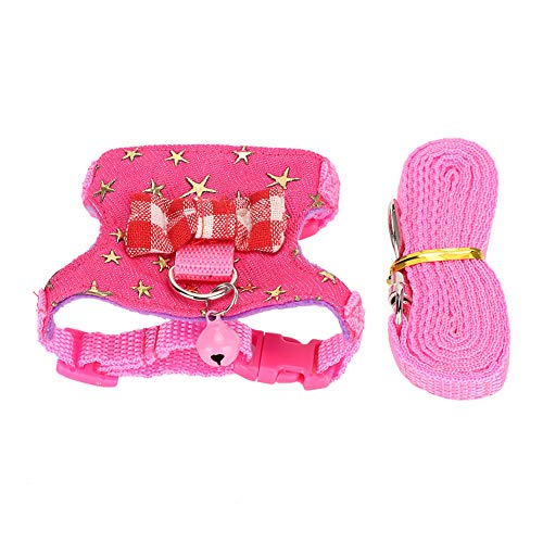 Kleintier Walking Harness Weste: Leine Set Brustgurt für Frettchen, Chinchilla und Eichhörnchen, Als Katzengeschirr für Sichere Spaziergänge von AMAKO