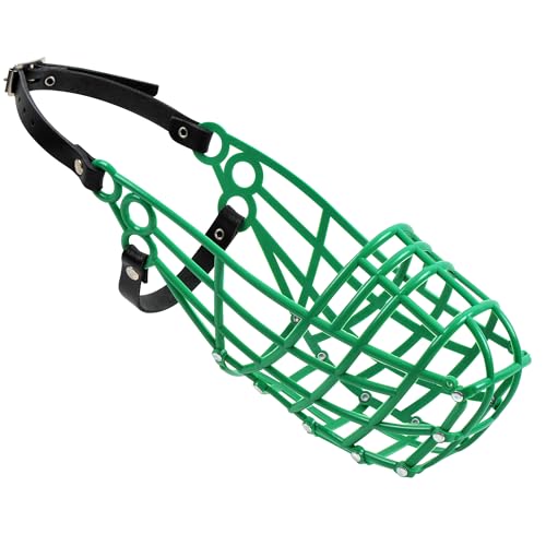 AMATHINGS Greyhound-Rennmündung mit frei laufenden Greyhounds und großen Rassen mit langen, schlanken Schnauzenformen (grün) von AMATHINGS