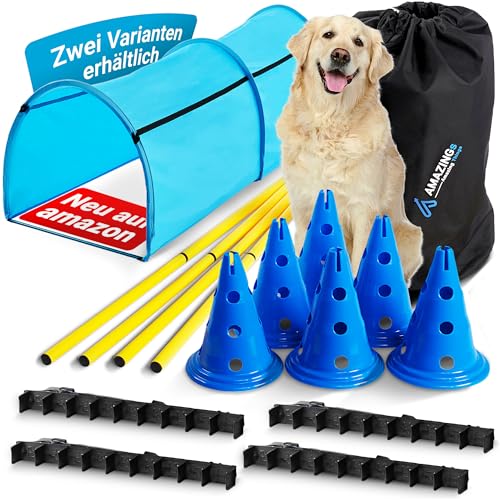 AMAZINGs Agility Set Hunde – Hürden für Hunde mit Hundetunnel, klein bis groß | Hundetraining Zubehör, Cavaletti, Steckhürdenset, Hindernisse, Parcour, Slalomstangen, Hundesport von AMAZINGs