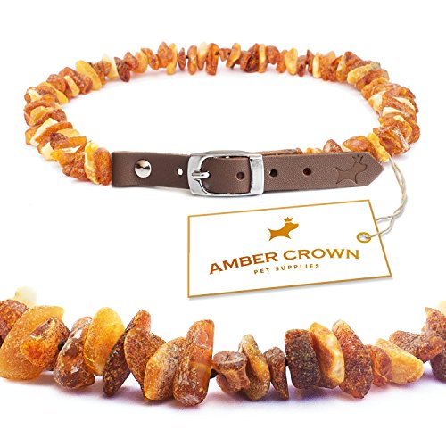 Amber Crown - Bernsteinkette für Hunde und Katzen mit Lederschließe, gegen Zecken und Flöhe von AMBER CROWN