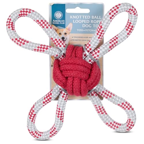 AKC Hundespielzeug Seil - Langlebiges Zerr- und Kauset für mittelgroße bis große Hunde - Flossing Cotton Rope mit Tennisbällen, Schlaufen & Ringen - Interaktives Hundespielzeug Set für Zahnreinigung AKC Hundespielzeug Seil - Langlebiges Zerr- und Kauset für mittelgroße bis große Hunde - Flossing Cotton Rope mit Tennisbällen, Schlaufen & Ringen - Interaktives Hundespielzeug Set für Zahnreinigung von AMERICAN KENNEL CLUB