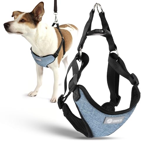 AKC Premium Gepolstertes Step-in-Hundegeschirr, weich, bequeme Passform, mit Dual-D-Ring, keine Zugkontrolle, S, M, L, Blau, Grau, Grün, Hellbraun von AMERICAN KENNEL CLUB