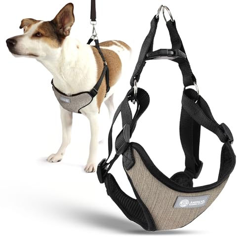 AKC Premium Gepolstertes Step-in-Hundegeschirr, weich, bequeme Passform, mit Dual-D-Ring, keine Zugkontrolle, S, M, L, Blau, Grau, Grün, Hellbraun von AMERICAN KENNEL CLUB