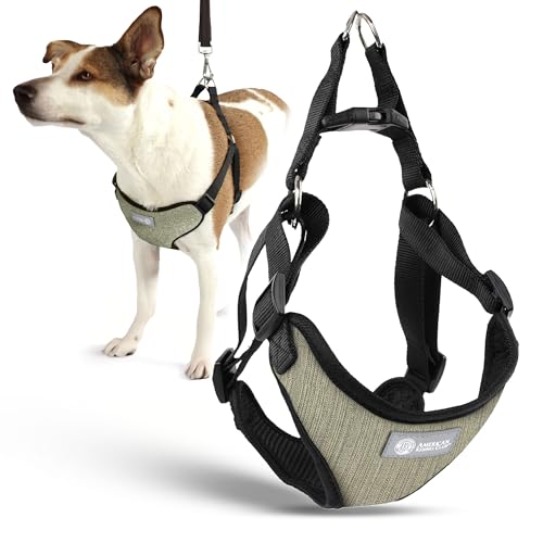AKC Premium Gepolstertes Step-in-Hundegeschirr, weich, bequeme Passform, mit Dual-D-Ring, keine Zugkontrolle, S, M, L, Blau, Grau, Grün, Hellbraun von AMERICAN KENNEL CLUB