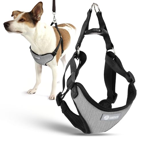 AKC Premium Gepolstertes Step-in-Hundegeschirr, weich, bequeme Passform, mit Dual-D-Ring, keine Zugkontrolle, S, M, L, Blau, Grau, Grün, Hellbraun AKC Premium Gepolstertes Step-in-Hundegeschirr, weich, bequeme Passform, mit Dual-D-Ring, keine Zugkontrolle, S, M, L, Blau, Grau, Grün, Hellbraun von AMERICAN KENNEL CLUB