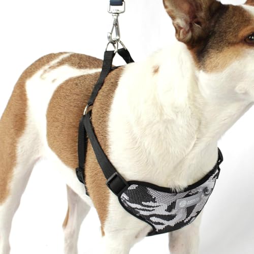AKC Step-in-Hundegeschirr, kein Ziehen, verstellbare Weste mit doppeltem D-Ring, einfaches An- und Ausziehen, Größe S, M, L, Blau, Grau, Grün AKC Step-in-Hundegeschirr, kein Ziehen, verstellbare Weste mit doppeltem D-Ring, einfaches An- und Ausziehen, Größe S, M, L, Blau, Grau, Grün von AMERICAN KENNEL CLUB