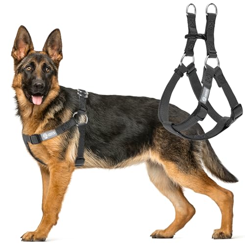 AKC Step-in-Hundegeschirr, verstellbar, einfarbig, mit doppelten D-Ringen, kein Ziehen, bequeme Passform für kleine, mittelgroße und große Hunde, Schwarz, Grau, Marineblau, Rosa von AMERICAN KENNEL CLUB
