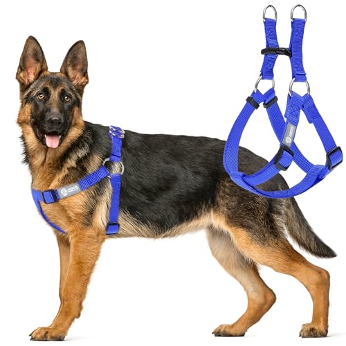 AKC Step-in-Hundegeschirr, verstellbar, einfarbig, mit doppelten D-Ringen, kein Ziehen, bequeme Passform für kleine, mittelgroße und große Hunde, Schwarz, Grau, Marineblau, Rosa AKC Step-in-Hundegeschirr, verstellbar, einfarbig, mit doppelten D-Ringen, kein Ziehen, bequeme Passform für kleine, mittelgroße und große Hunde, Schwarz, Grau, Marineblau, Rosa von AMERICAN KENNEL CLUB
