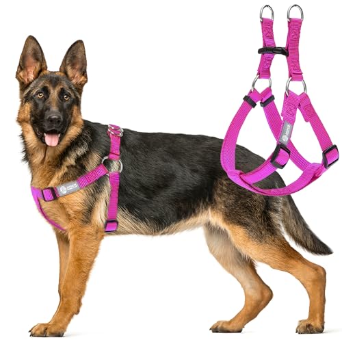 AKC Step-in-Hundegeschirr, verstellbar, einfarbig, mit doppelten D-Ringen, kein Ziehen, bequeme Passform für kleine, mittelgroße und große Hunde, Schwarz, Grau, Marineblau, Rosa AKC Step-in-Hundegeschirr, verstellbar, einfarbig, mit doppelten D-Ringen, kein Ziehen, bequeme Passform für kleine, mittelgroße und große Hunde, Schwarz, Grau, Marineblau, Rosa von AMERICAN KENNEL CLUB