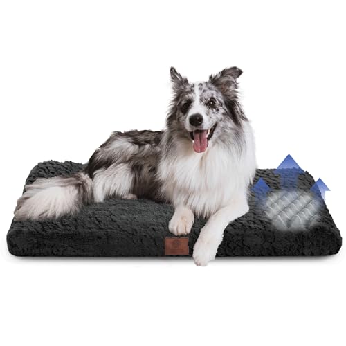 AMERICAN KENNEL CLUB Orthopädische Hundebox-Matte aus Memory-Schaum, Eierkisten-Schaumstoffkissen, waschbarer Bezug, rutschfeste Unterseite, lindert Gelenkschmerzen, atmungsaktiv, langlebig, 36 x 23 AMERICAN KENNEL CLUB Orthopädische Hundebox-Matte aus Memory-Schaum, Eierkisten-Schaumstoffkissen, waschbarer Bezug, rutschfeste Unterseite, lindert Gelenkschmerzen, atmungsaktiv, langlebig, 36 x 23 von AMERICAN KENNEL CLUB