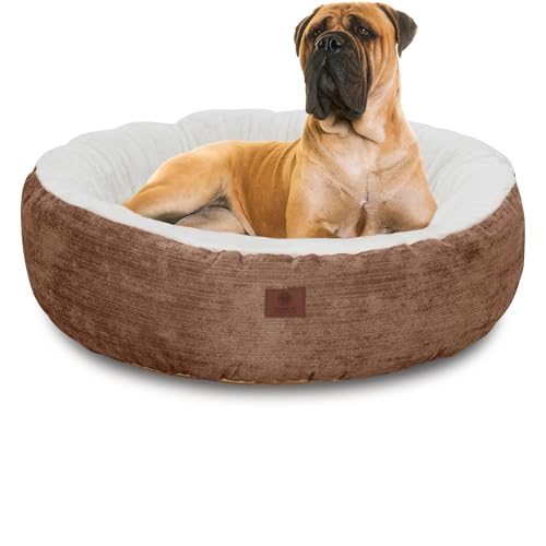 AMERICAN KENNEL CLUB Rundes Haustierbett, 78,7 cm, Mason Stoff, stilvoll, waschbar, mit Rutschfester Unterseite, Plüsch-Schlaffläche, für Katzen, große Rassen AMERICAN KENNEL CLUB Rundes Haustierbett, 78,7 cm, Mason Stoff, stilvoll, waschbar, mit Rutschfester Unterseite, Plüsch-Schlaffläche, für Katzen, große Rassen von AMERICAN KENNEL CLUB