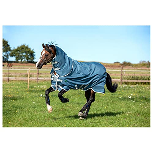 AMIGO Outdoor-Decke für Pferde Horseware AmEco 12 Plus Turnout 100g von Horseware