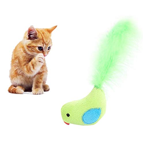 AMILKS Cat Toy Katzen Spielzeug Interaktives Katzenspielzeug für Indoor-Katzen Interaktives Katzenspielzeug Kätzchen-Spielwaren für Innenkatzen Green von AMILKS