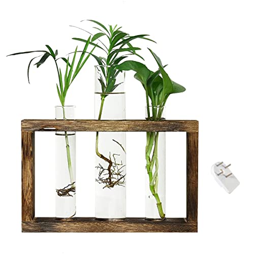 AMIUHOUN Anzuchtstationen, Wandbehang Terrarien Tischplatte Glas Holzständer mit 3 Anzuchtröhren AMIUHOUN Anzuchtstationen, Wandbehang Terrarien Tischplatte Glas Holzständer mit 3 Anzuchtröhren von AMIUHOUN