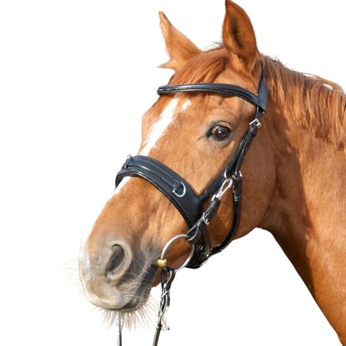 AMKA Reitkappzaum mit Gebissverschnallung zum Longieren und Reiten gebisslos oder mit Gebiss VB, WB, XWB von AMKA